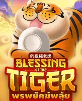 Blessing tiger