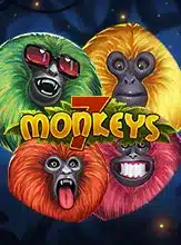 PMT 7 Monkeys 