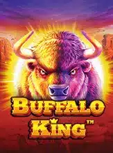PMT Buffalo King 